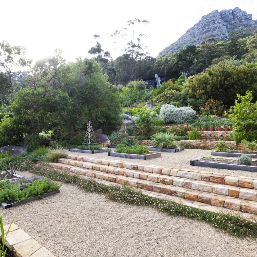 garden _ chestnut drive-0816